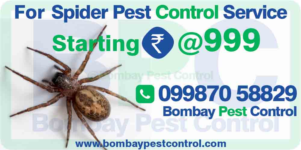 BPC - Pest Control in Mumbai, Navi Mumbai, Thane