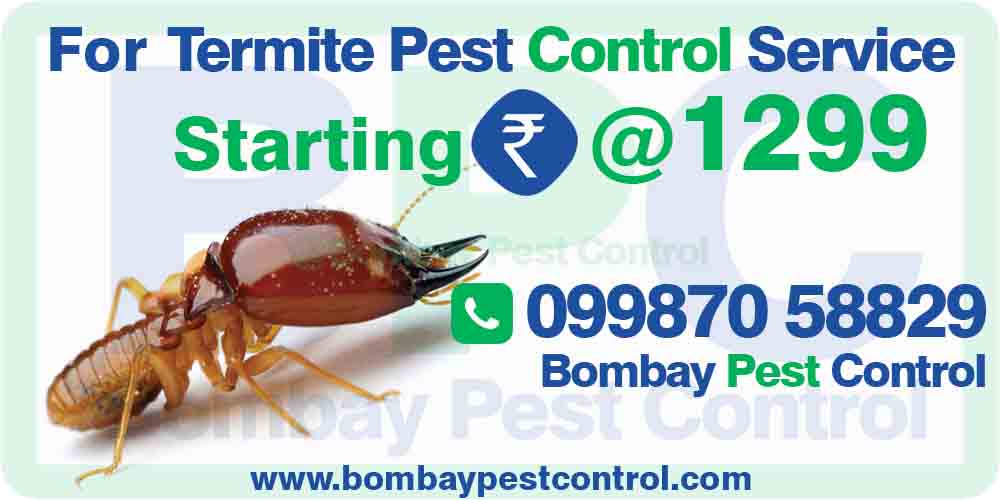 Pest Control Kanjurmarg, Best Pest Control Service Kanjurmarg ...